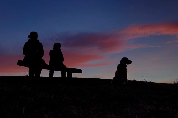 Silhouetted against the sunset, an adult and a child on a bench and a dog sitting next to them.