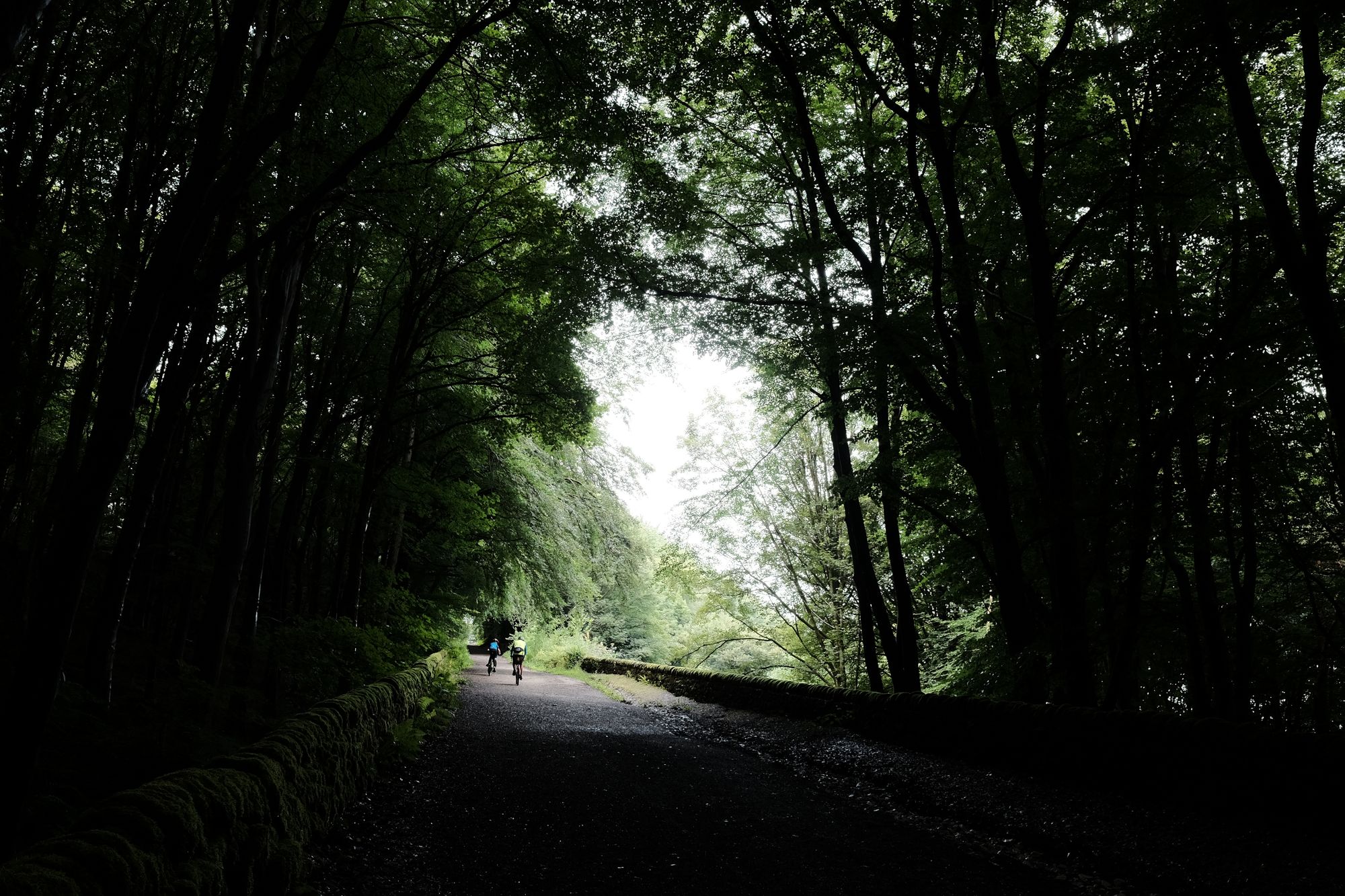 Two cyclists are visible in the distance riding up a steep incline in a dark forest.