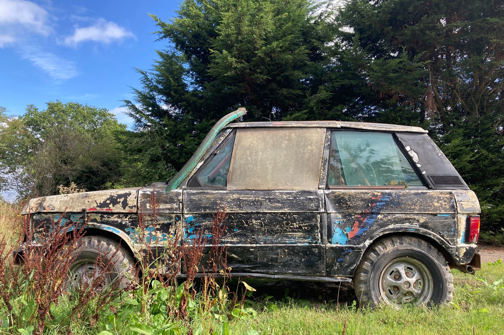 A battered old 4x4 with multi-coloured paintwork sits in an overgrown patch of grass.