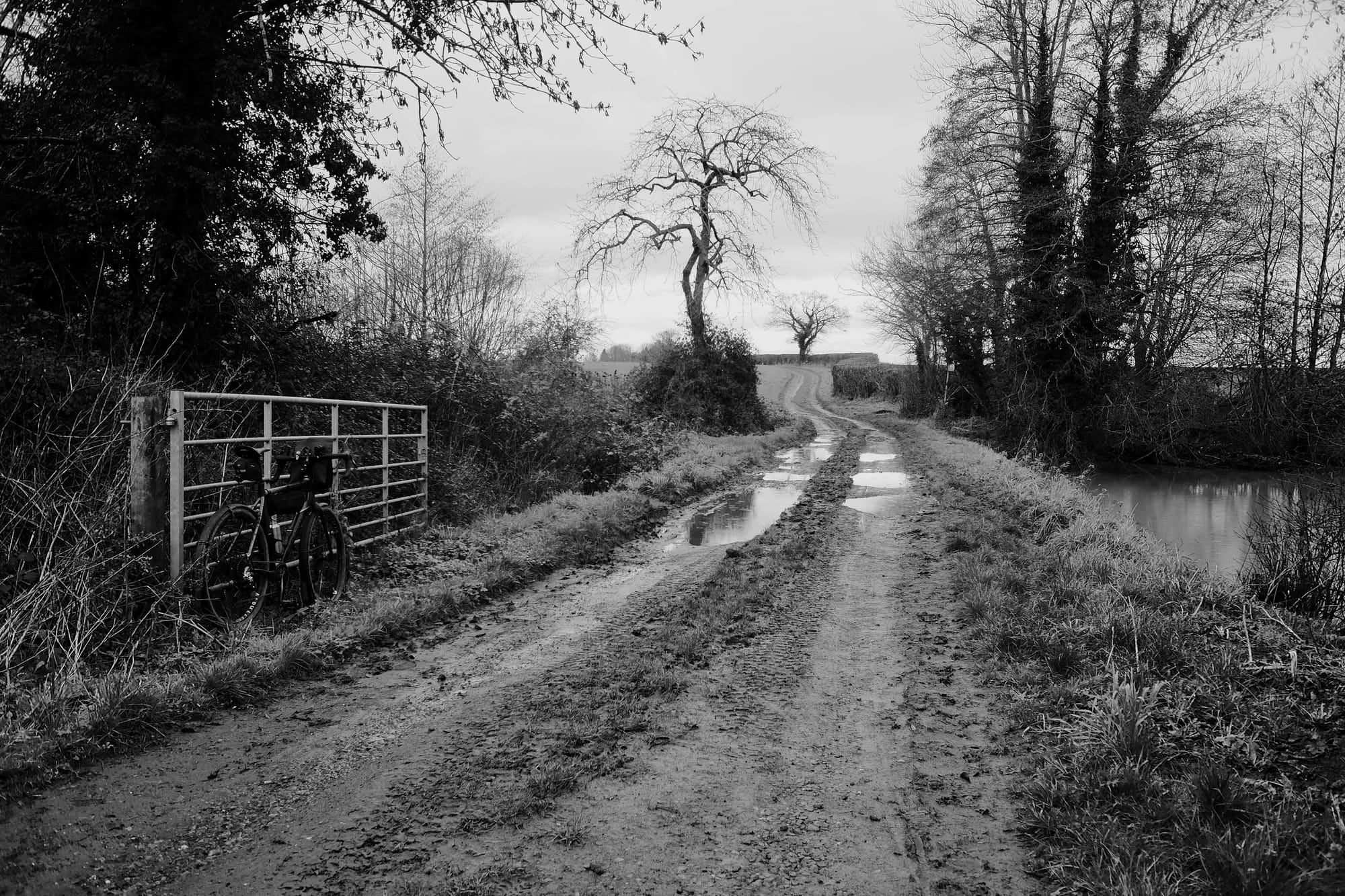A black and white image of a bike leaning on a farm gate, a muddy track stretching into the distance between trees.