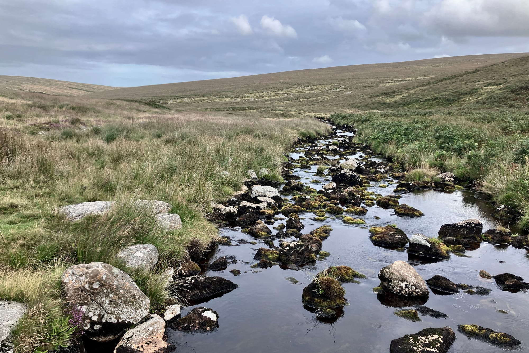 A rocky stream flows through a wide grassy valley on Dartmoor under a grey sky.