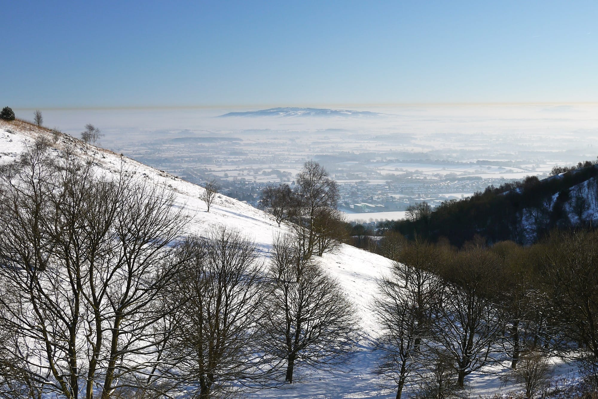 A snowy hillside scattered with bare trees looks out over a sno-covered plane with another hill rising in the distance.