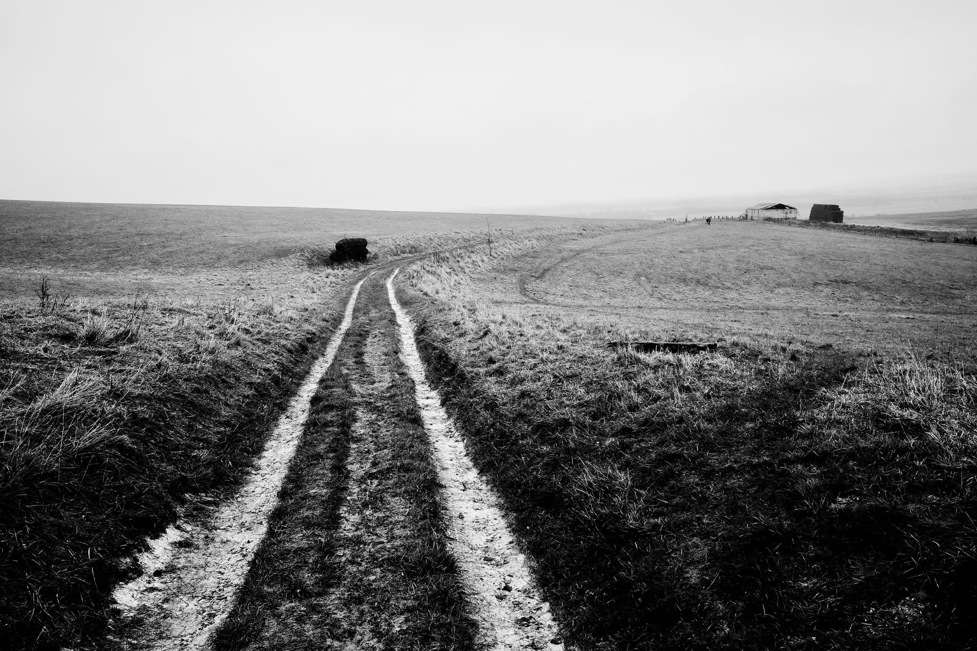 A black and white photo of a farm track stretching off into the distance on open grassland.