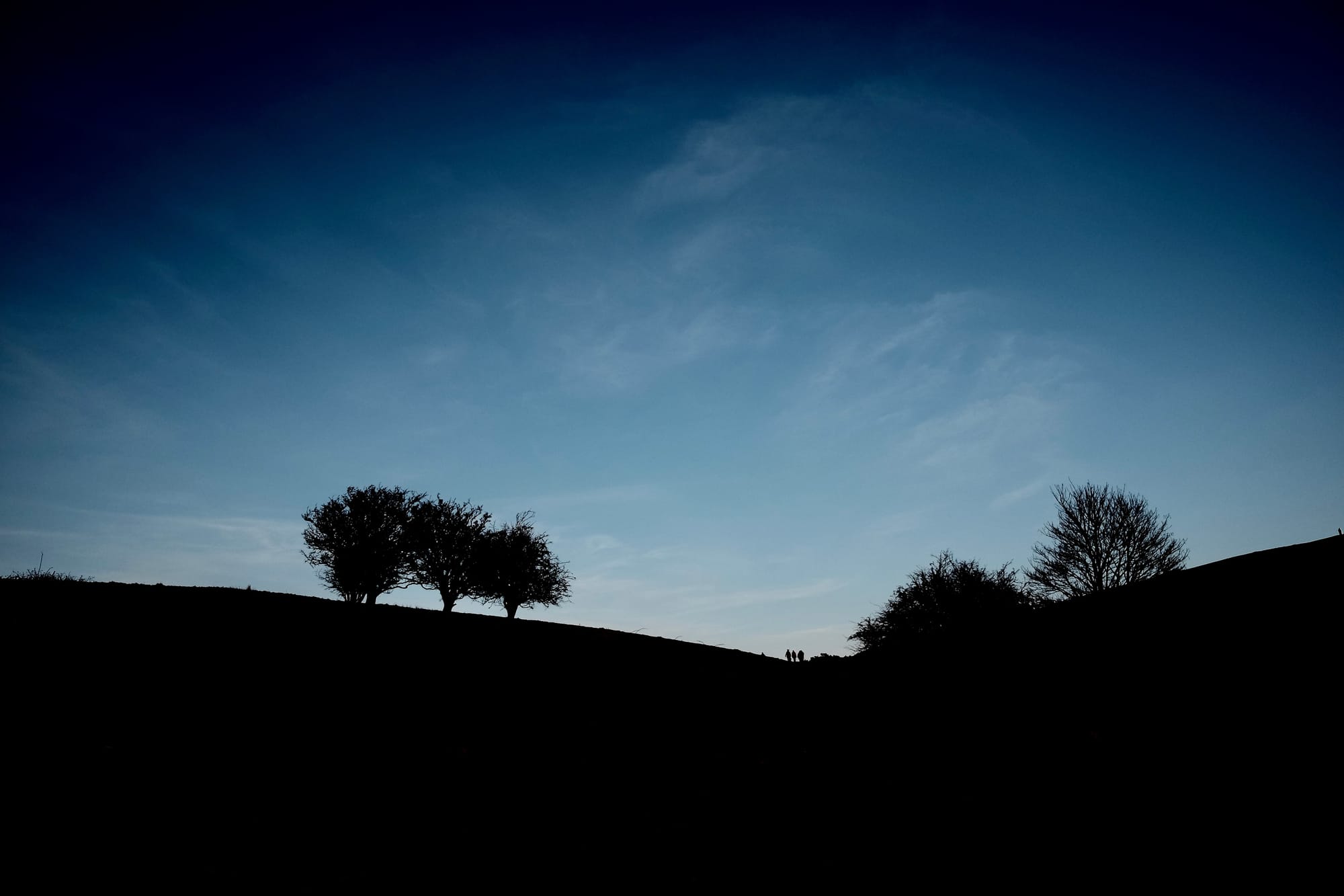 Three walkers silhouetted among trees on a hillside at dusk, a dark blue sky above them.