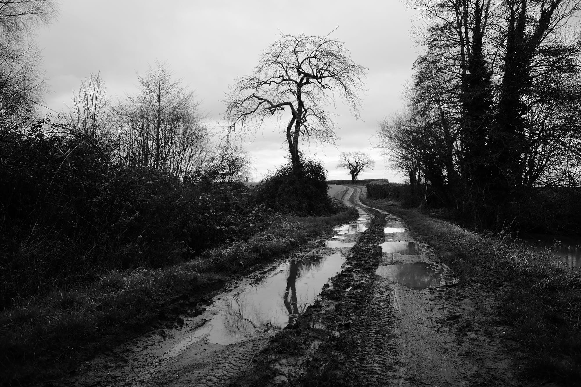 A black and white image of a muddy farm track with large puddles of water and trees either side.