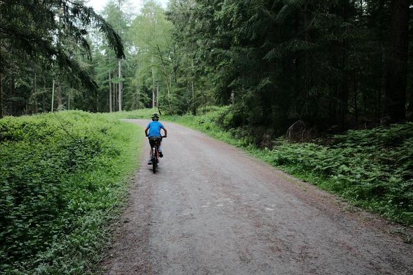A young boy in a blue t-shirt cycles away from the camera on a forest track.