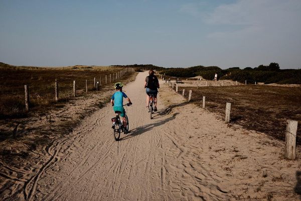 An adult and child cycle away from the camera along a cycle path in the Dutch dunes.