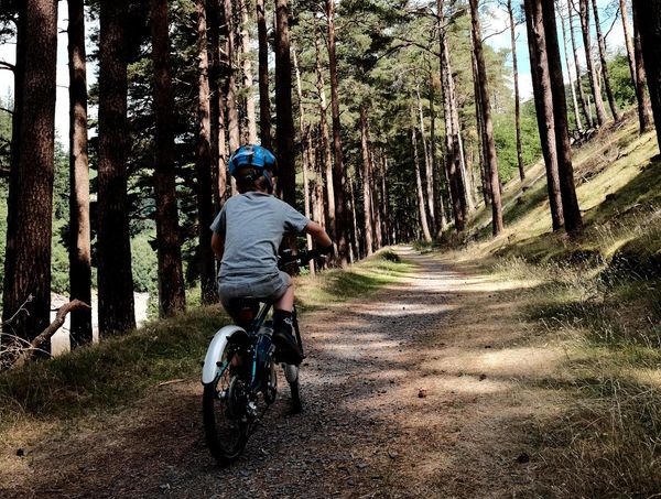 A child rides their bike up a trail through a tree-lined section of the Elan Valley Trail on a sunny day.