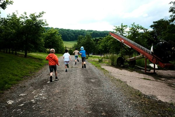 A group of children in red, white, blue and brown tops run down a farm track away from the camera.