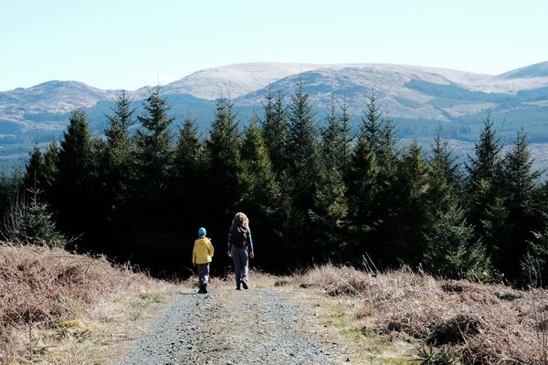 Finding peace in the Galloway Forest Park