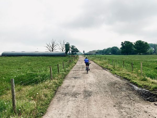 A child in a blue t-shirt rides a bike away down a farm track.