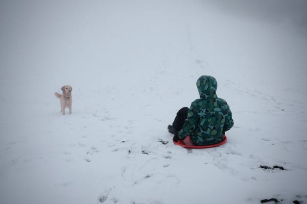 A child in a green coat rides a red sledge down a snowy hill, watched by a Golden Retriever dog.