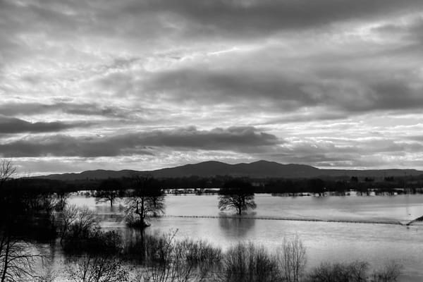 A black and white view of a flooded landscape dotted with trees, a range of hills in the background.