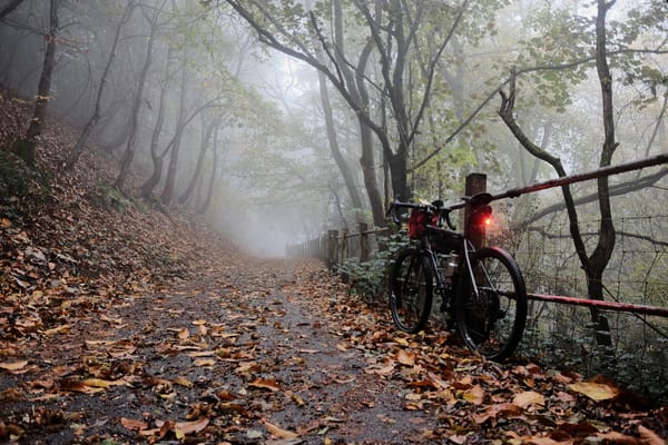 On a foggy autumn day, a bike with its red rear light shining leans against a railing at the side of a leaf-strewn lane.
